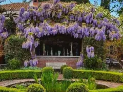 Villa Rosantica